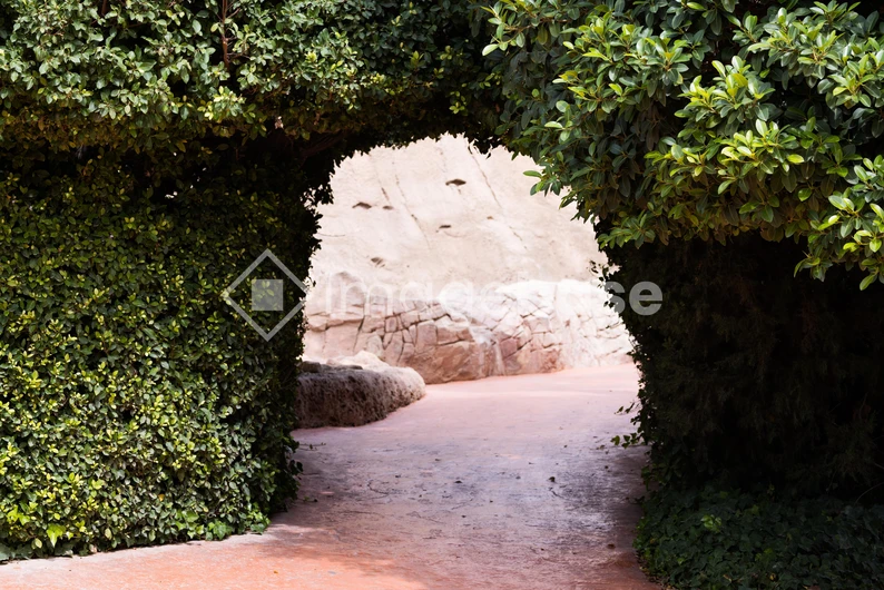 Leafy Archway