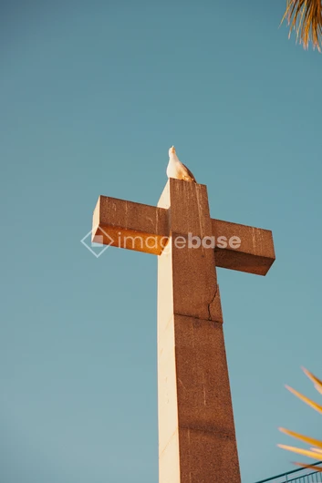 Stone Cross and Dove