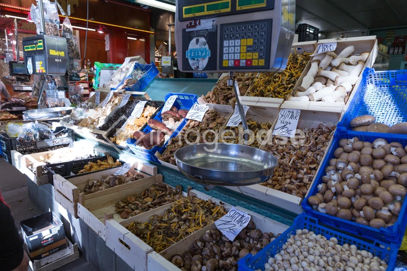 Market Mushroom Display