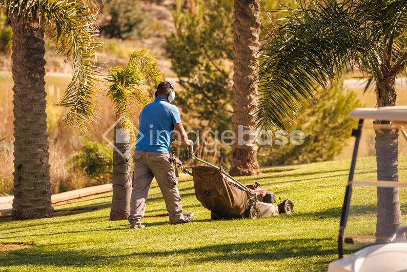 Gardening in Tropical Surroundings