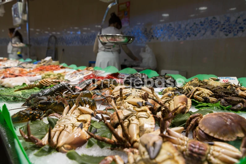Fresh Seafood Display