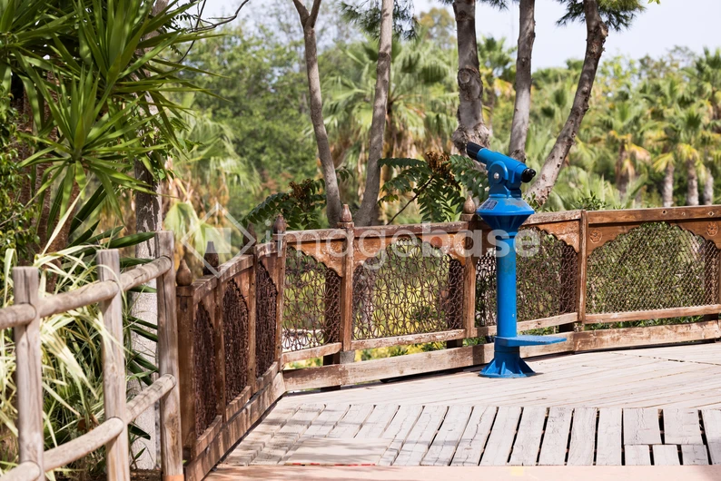 Scenic Overlook with Telescope