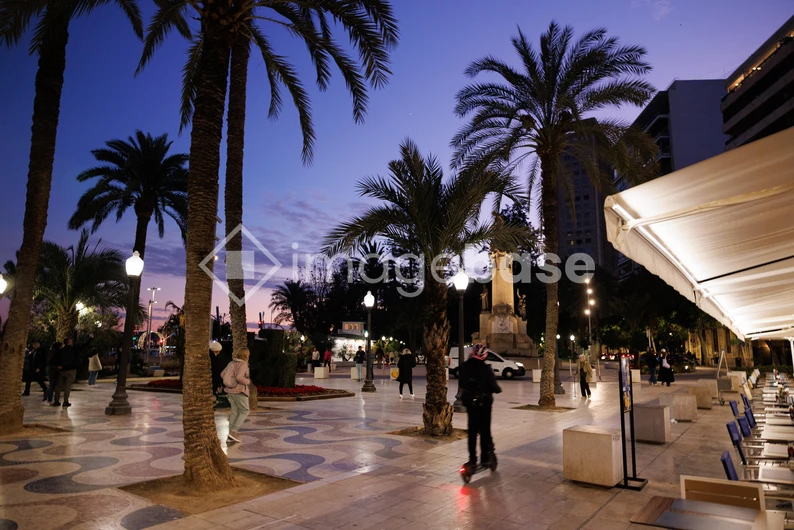 Evening Cityscape with Palm Trees