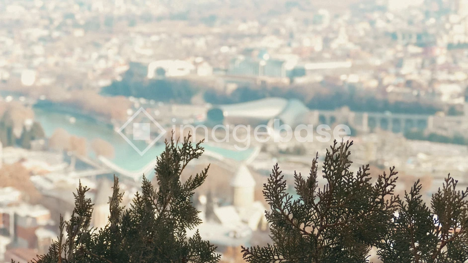 Urban View with Foliage
