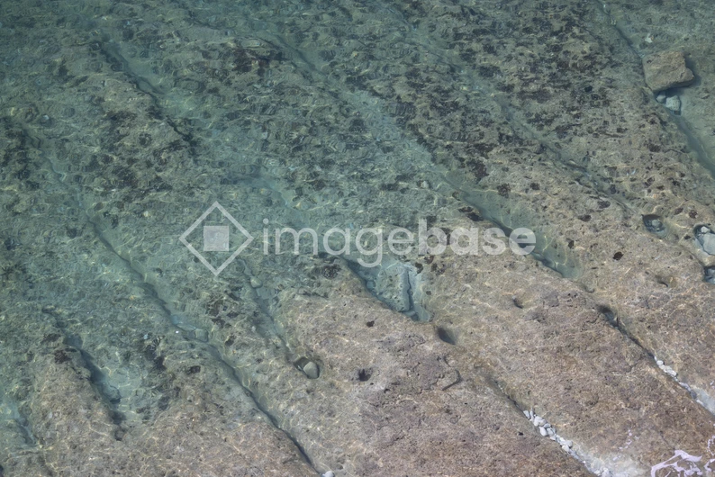 Clear Shallow Waters