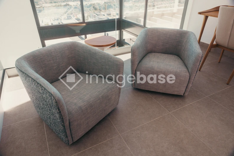 Modern Lounge Chairs in Sunlit Room