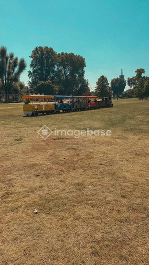 Miniature Train in Park Setting