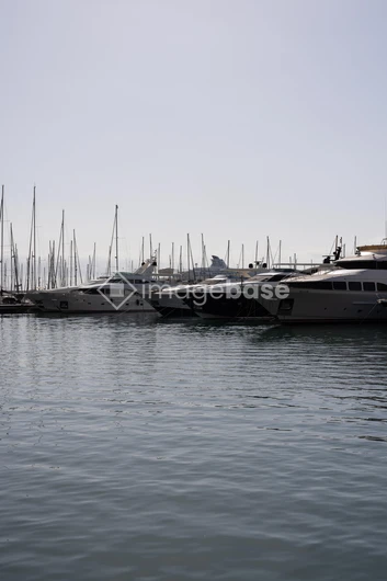 Luxury Yachts at the Marina