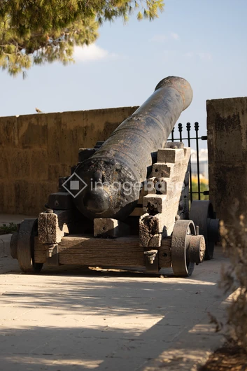 Historic Cannon in Fort Setting