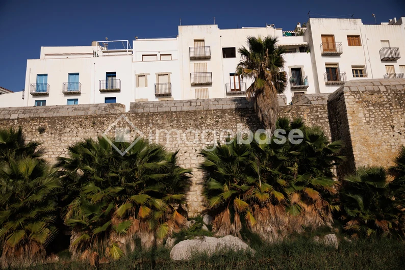 Historic Building with Palm Trees
