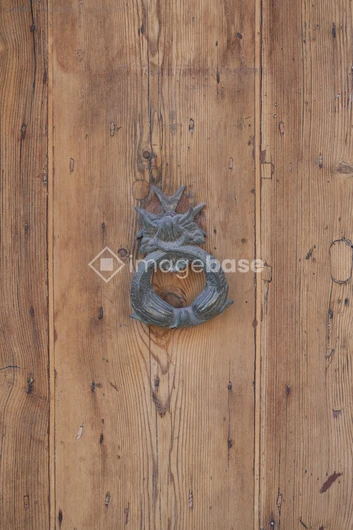 Ornate Door Knocker