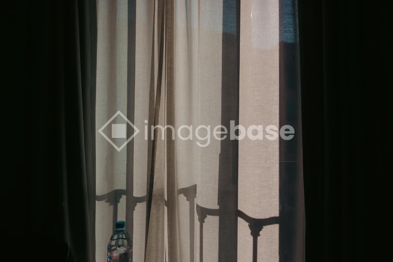 Sunny Window Silhouette