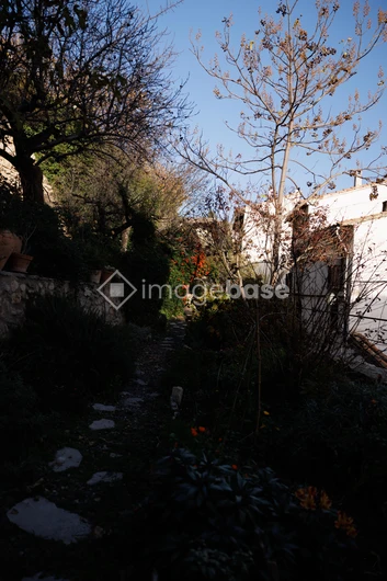 Secluded Garden Path