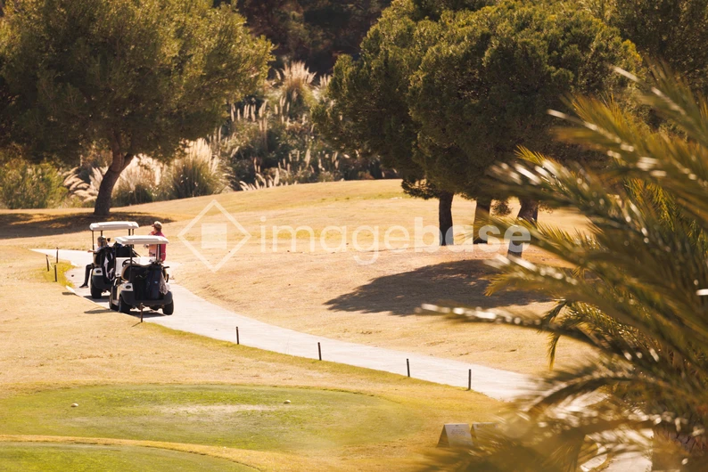 Sunny Golf Course