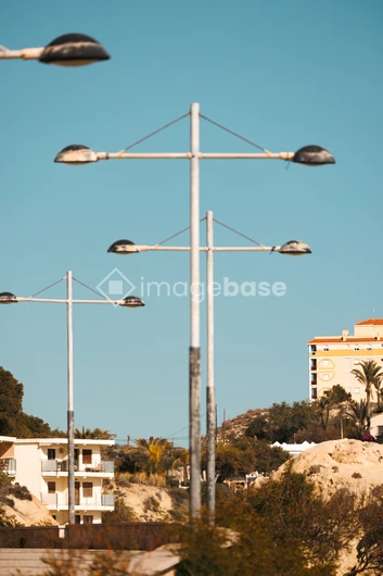 Suburban Street View