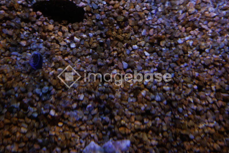 Pebble Texture