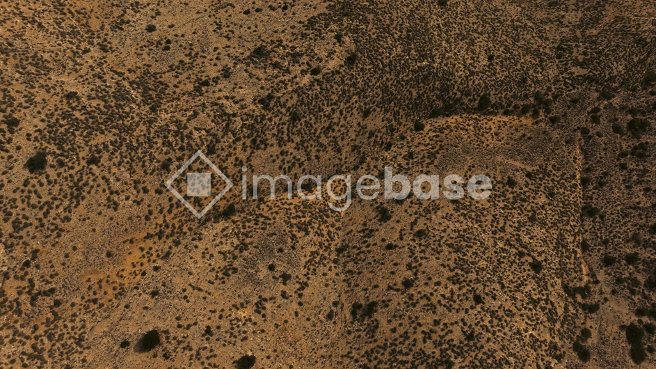 Desert Landscape