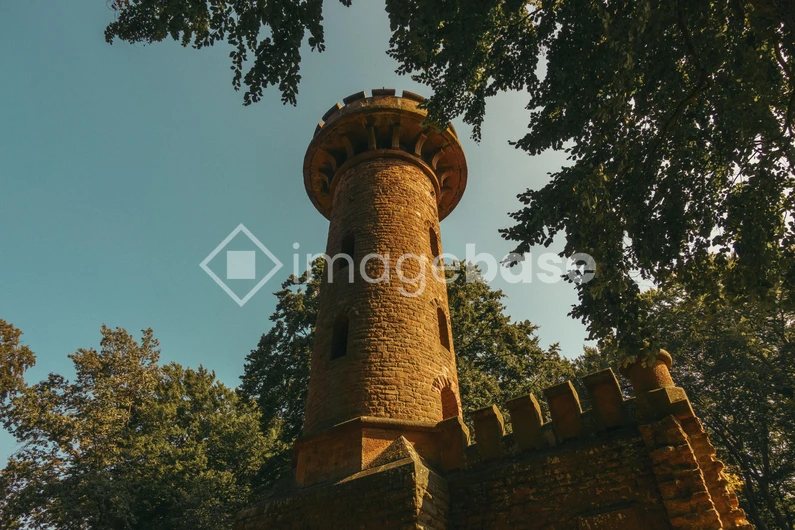 Historic Tower in Forest
