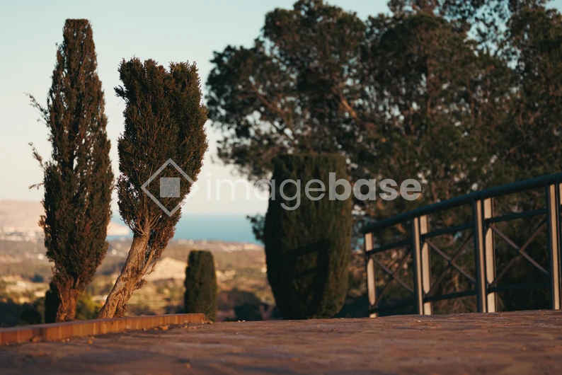 Sunset View with Trees