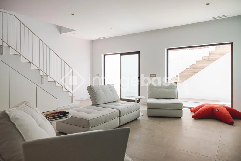 Modern Minimalist Living Room