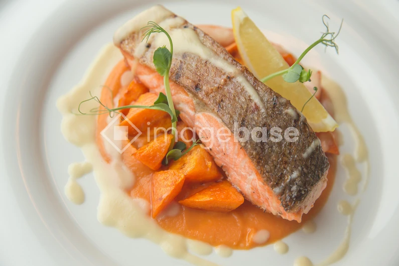 Gourmet Salmon Dish