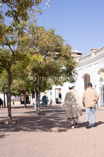 Stroll Through a Sunny Plaza