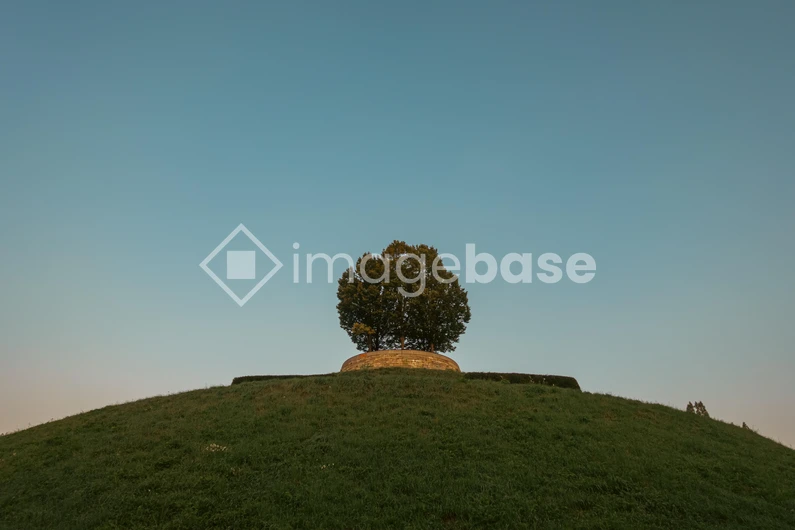 Lonely Tree on a Hill