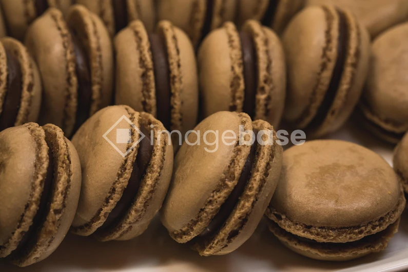 Chocolate Macarons