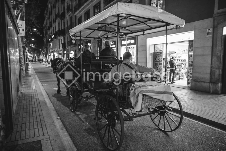 Horse-Drawn Carriage on City Street