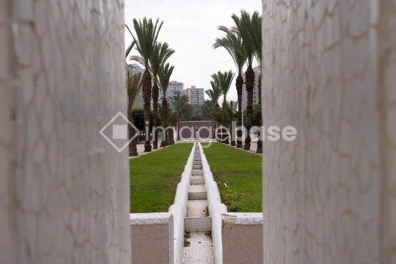 Pathway and Palm Trees in Urban Landscape