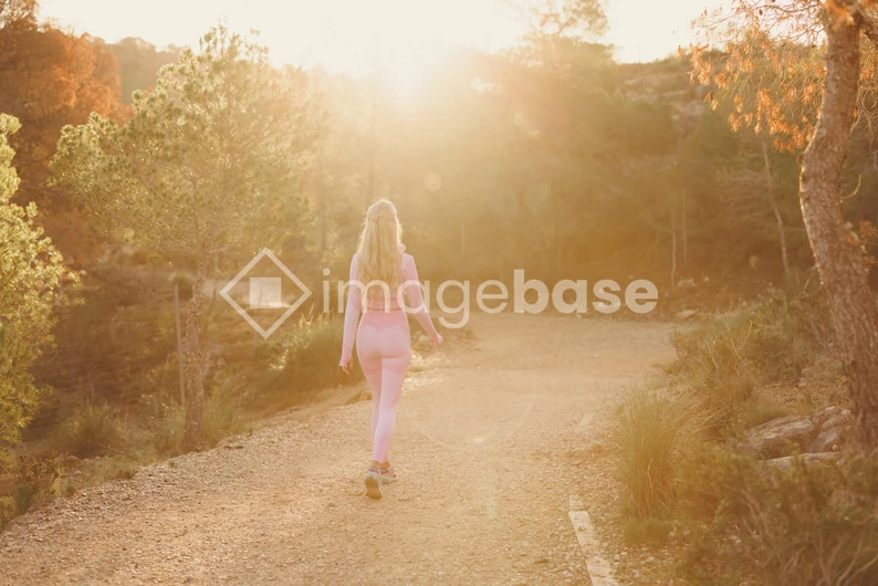 Sunlit Trail Walk