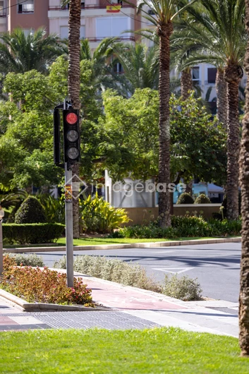 Urban Traffic Light Scene