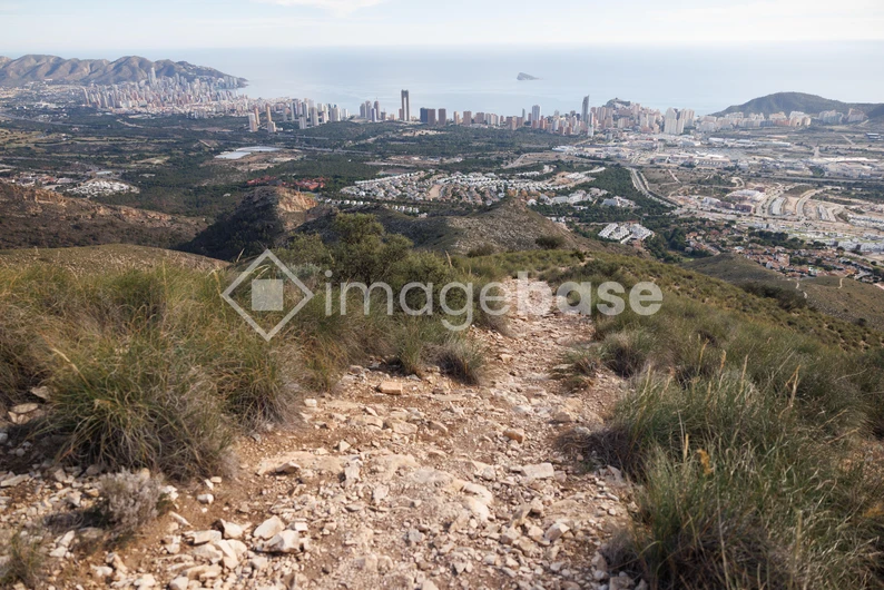 Overlooking a Coastal City