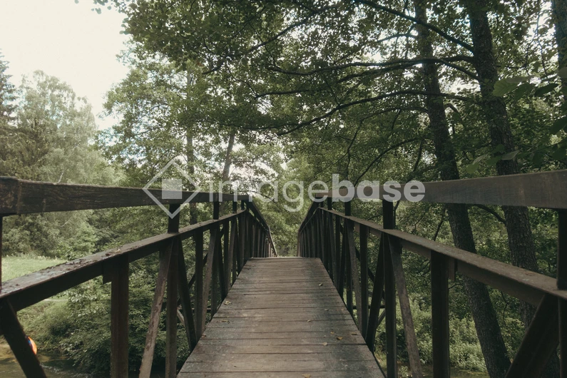 Rustic Bridge in Forest