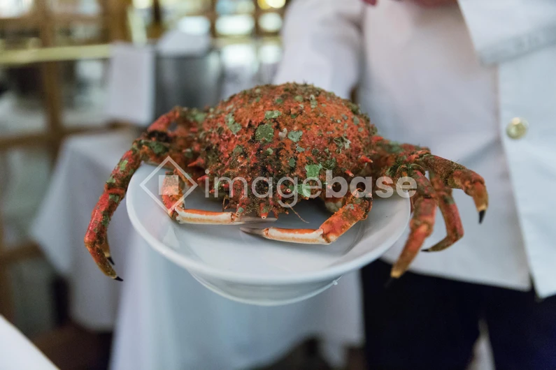 Gourmet Crab Dish