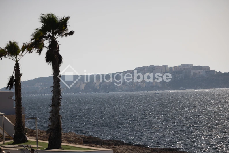 Coastal View with Palm Trees