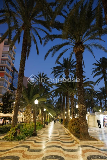 Evening Promenade