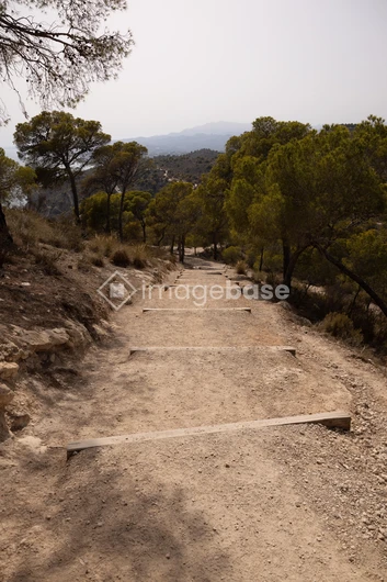 Scenic Mountain Path