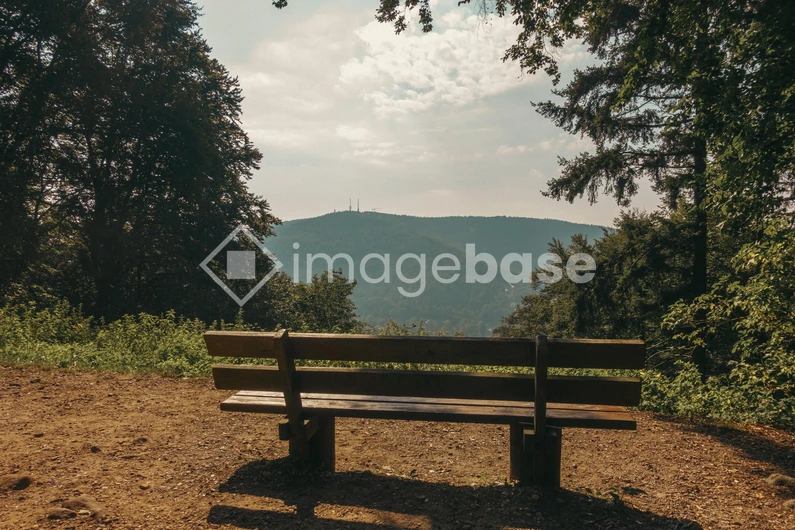 Scenic Mountain View