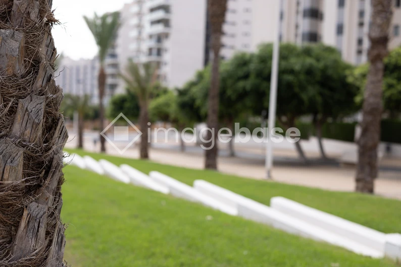Urban Greenery Scene