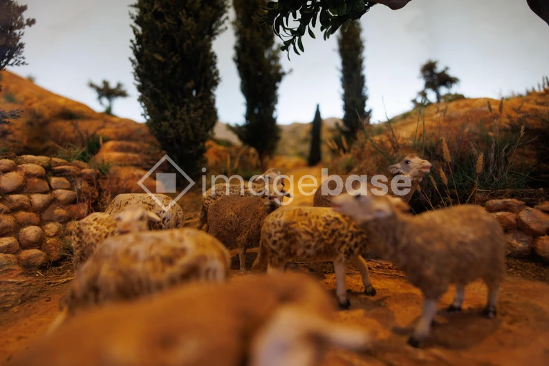 Pastoral Scene with Sheep