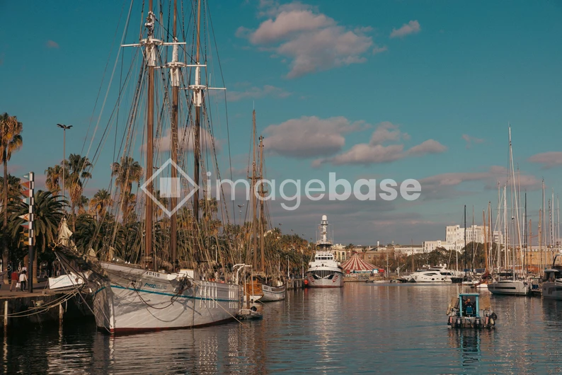 Harbor Serenity