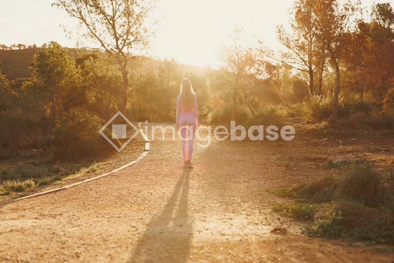 Sunlit Walk in Nature