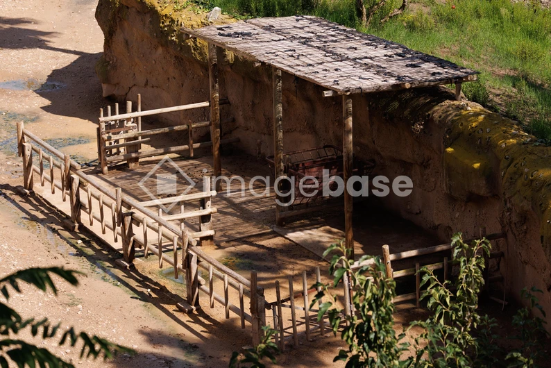 Rustic Shelter in Natural Setting