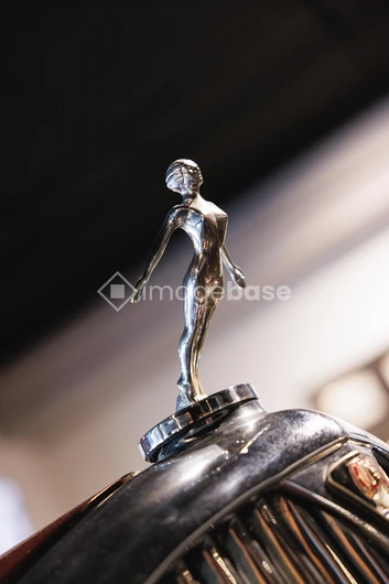 Elegant Car Hood Ornament