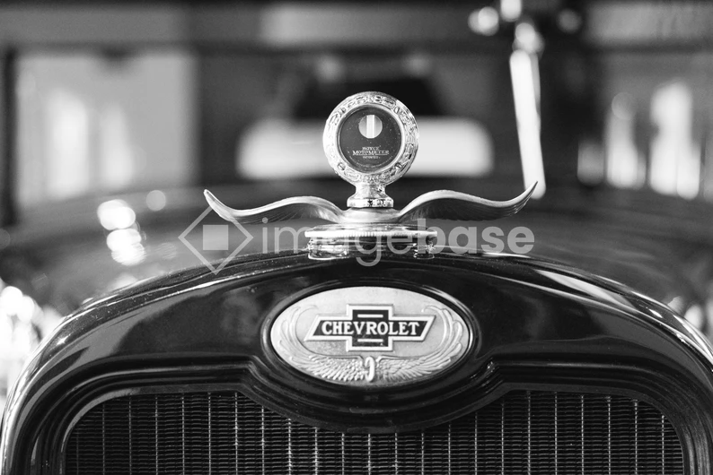 Vintage Car Emblem