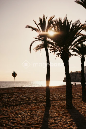 Sunset Beach Scene