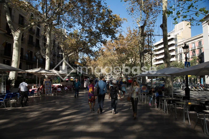 Bustling City Street