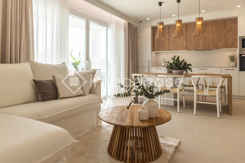 Modern Minimalist Living Room