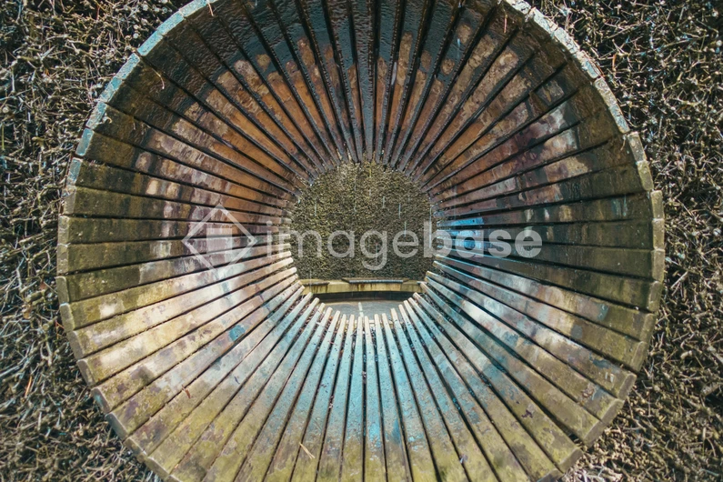 Circular Wood Pattern